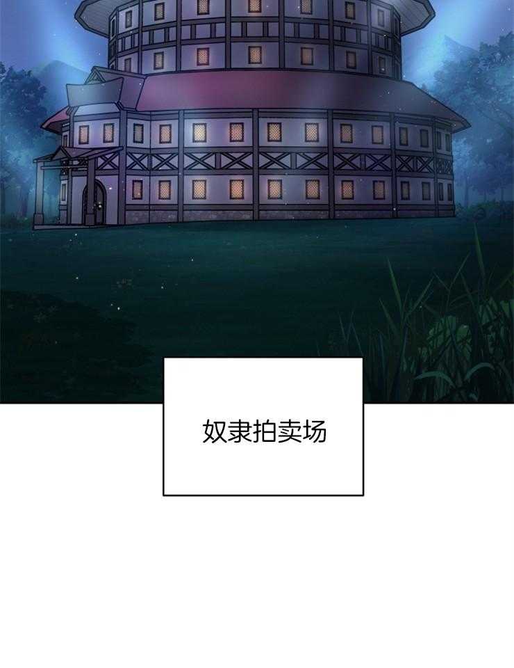 《异界探路者》漫画最新章节第35话 拍卖会免费下拉式在线观看章节第【20】张图片