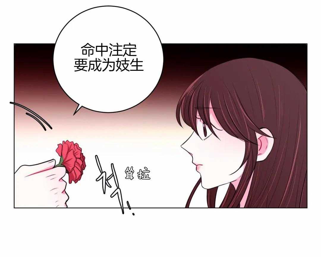 《月夜花院》漫画最新章节第39话 你只是花人而已免费下拉式在线观看章节第【5】张图片