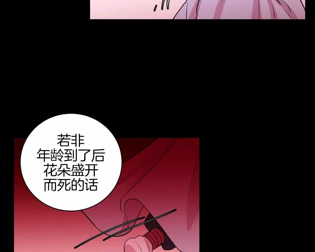 《月夜花院》漫画最新章节第52话 火药库免费下拉式在线观看章节第【17】张图片