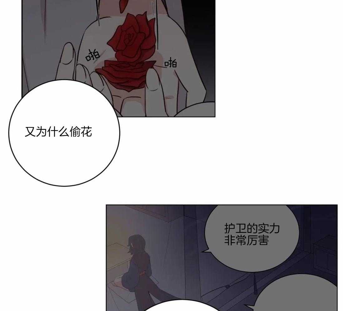 《月夜花院》漫画最新章节第105话 发现免费下拉式在线观看章节第【24】张图片