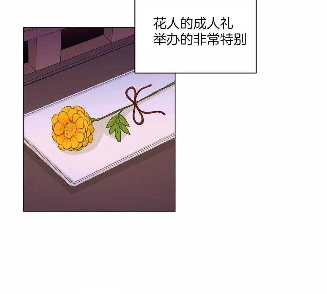 《月夜花院》漫画最新章节第112话 成人礼免费下拉式在线观看章节第【27】张图片