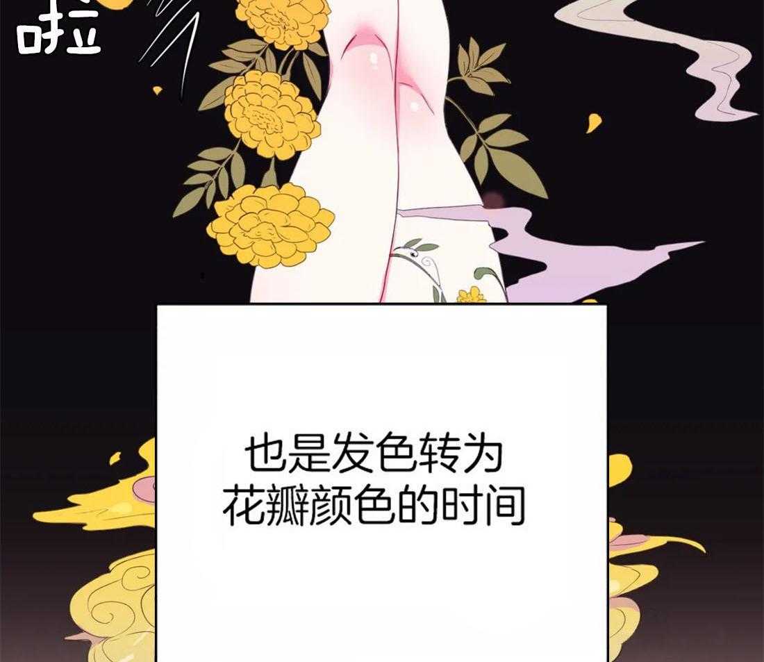 《月夜花院》漫画最新章节第112话 成人礼免费下拉式在线观看章节第【20】张图片