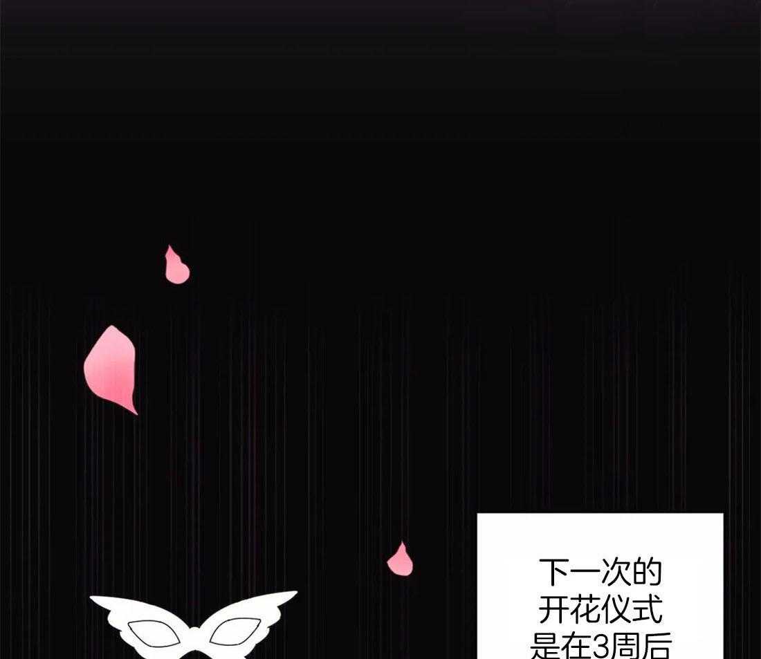 《月夜花院》漫画最新章节第112话 成人礼免费下拉式在线观看章节第【14】张图片