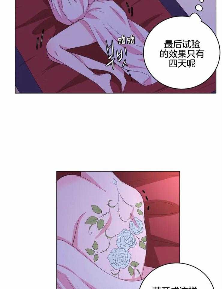 《月夜花院》漫画最新章节第133话 该醒了免费下拉式在线观看章节第【4】张图片