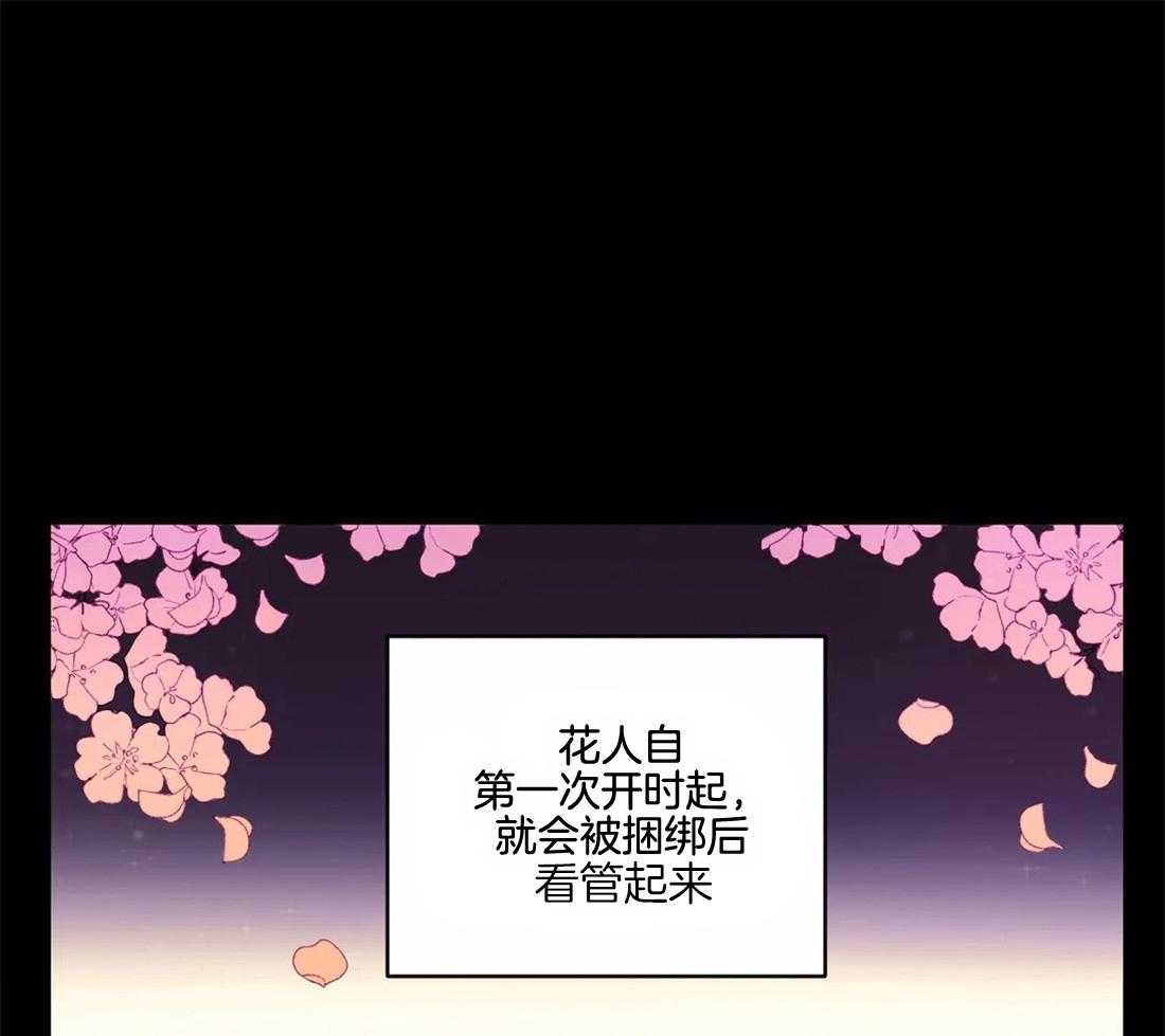 《月夜花院》漫画最新章节第142话 我学习了很多免费下拉式在线观看章节第【33】张图片