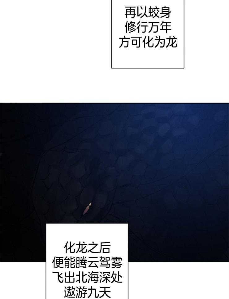 《珊瑚食者》漫画最新章节第36话 你很特别免费下拉式在线观看章节第【22】张图片