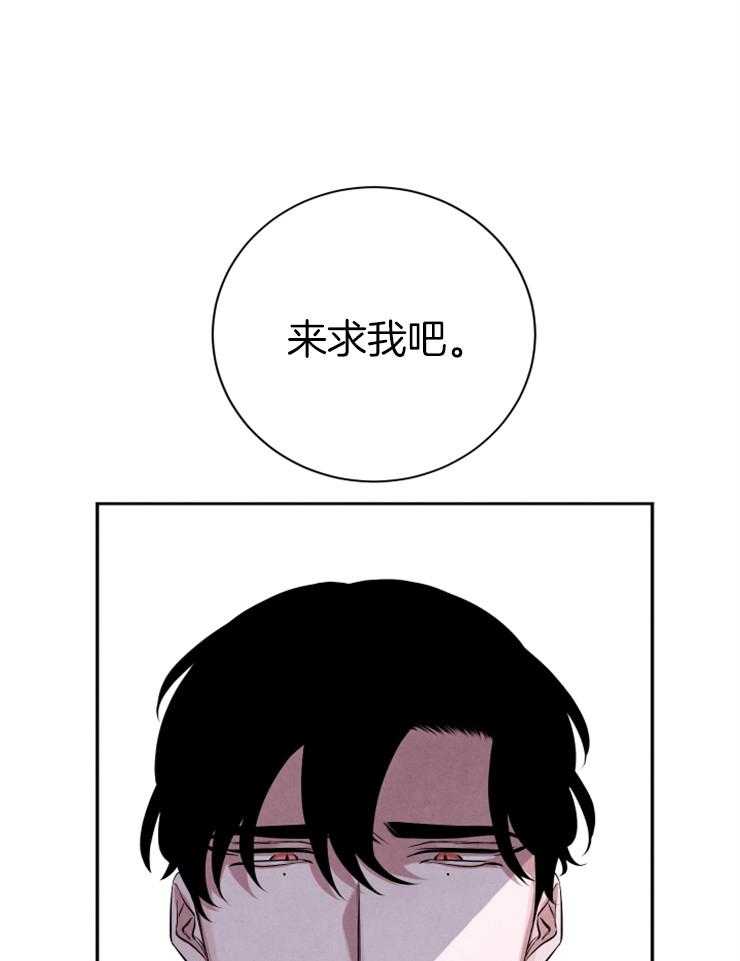 《珊瑚食者》漫画最新章节第39话 我看的是你免费下拉式在线观看章节第【4】张图片