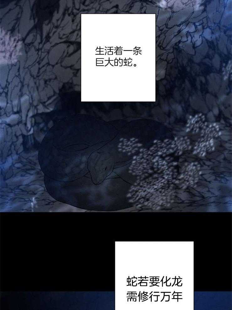 《珊瑚食者》漫画最新章节第53话 蛇的故事免费下拉式在线观看章节第【30】张图片