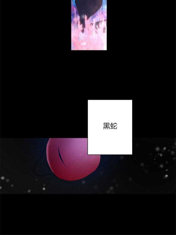 《珊瑚食者》漫画最新章节第54话 发狂的黑蛇免费下拉式在线观看章节第【14】张图片