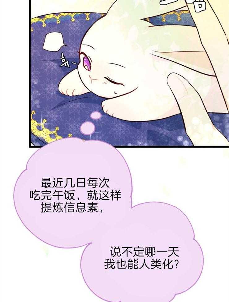 《储备粮的辛酸求生路》漫画最新章节第21话 看书免费下拉式在线观看章节第【15】张图片