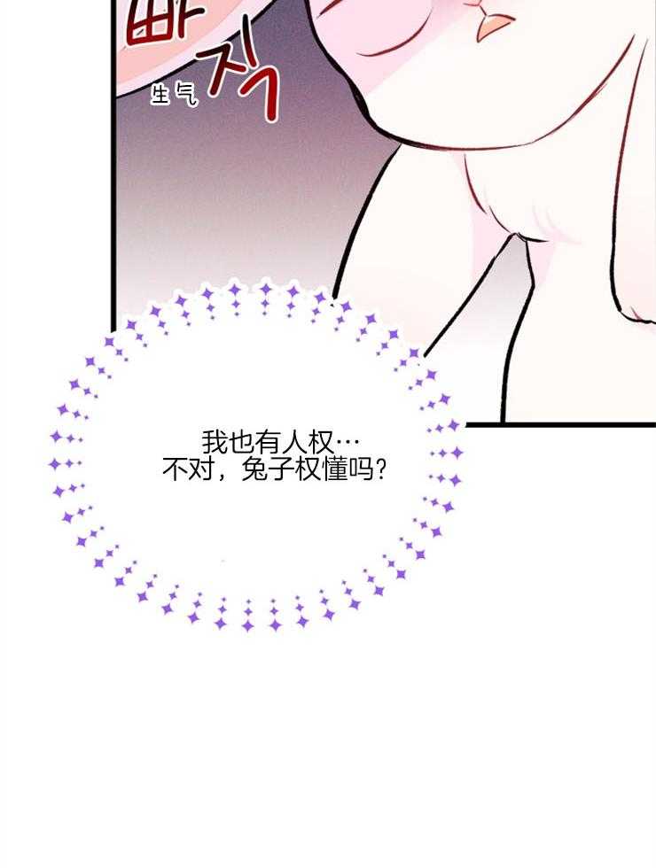 《储备粮的辛酸求生路》漫画最新章节第28话 菲菲免费下拉式在线观看章节第【32】张图片