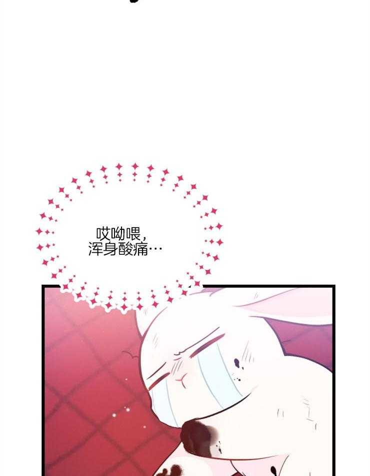 《储备粮的辛酸求生路》漫画最新章节第28话 菲菲免费下拉式在线观看章节第【8】张图片