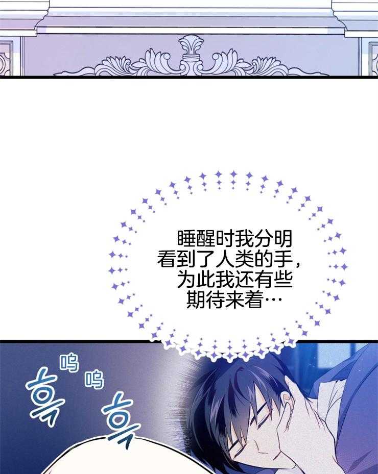 《储备粮的辛酸求生路》漫画最新章节第30话 还是调查一下吧免费下拉式在线观看章节第【6】张图片