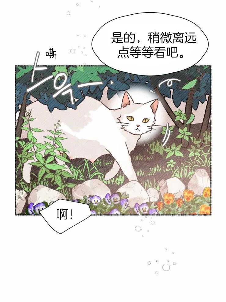 《肖像权警告》漫画最新章节第15话 开满花的屋子免费下拉式在线观看章节第【19】张图片