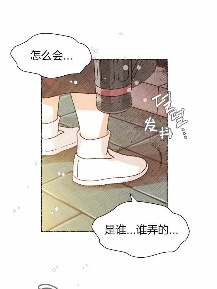 《肖像权警告》漫画最新章节第20话 毁坏的花坛免费下拉式在线观看章节第【5】张图片