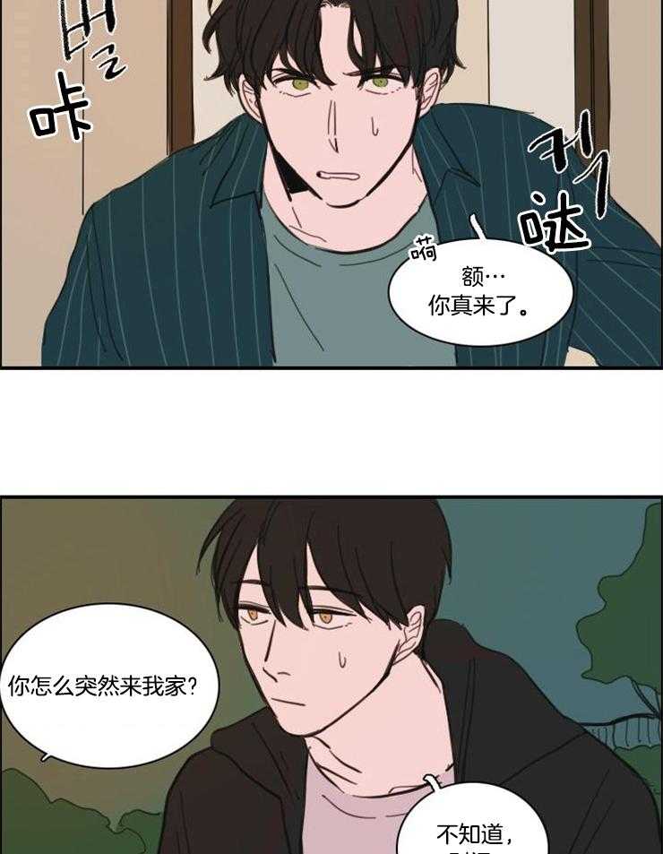 《可疑的食谱》漫画最新章节第55话 无法接受免费下拉式在线观看章节第【5】张图片