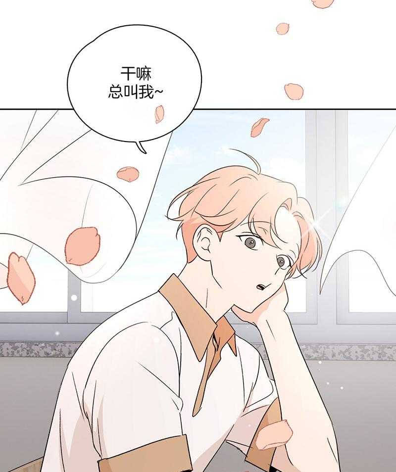 《桃皮绒花》漫画最新章节第47话 粉色的告白免费下拉式在线观看章节第【22】张图片