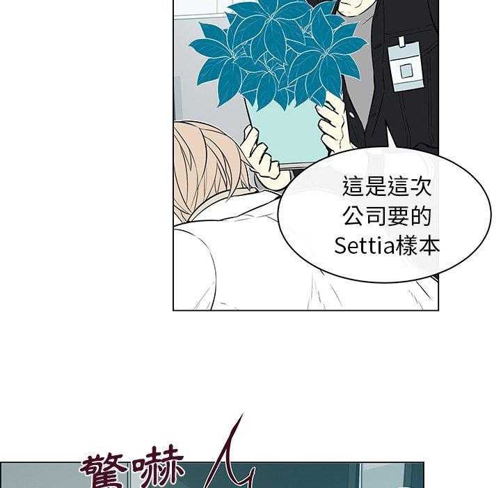 《Settia》漫画最新章节第14话 14免费下拉式在线观看章节第【17】张图片