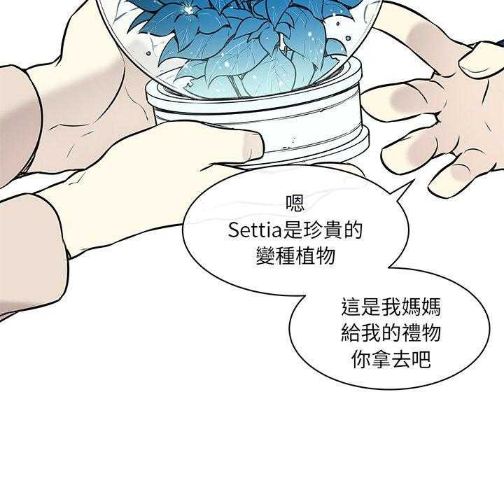 《Settia》漫画最新章节第23话 23免费下拉式在线观看章节第【17】张图片