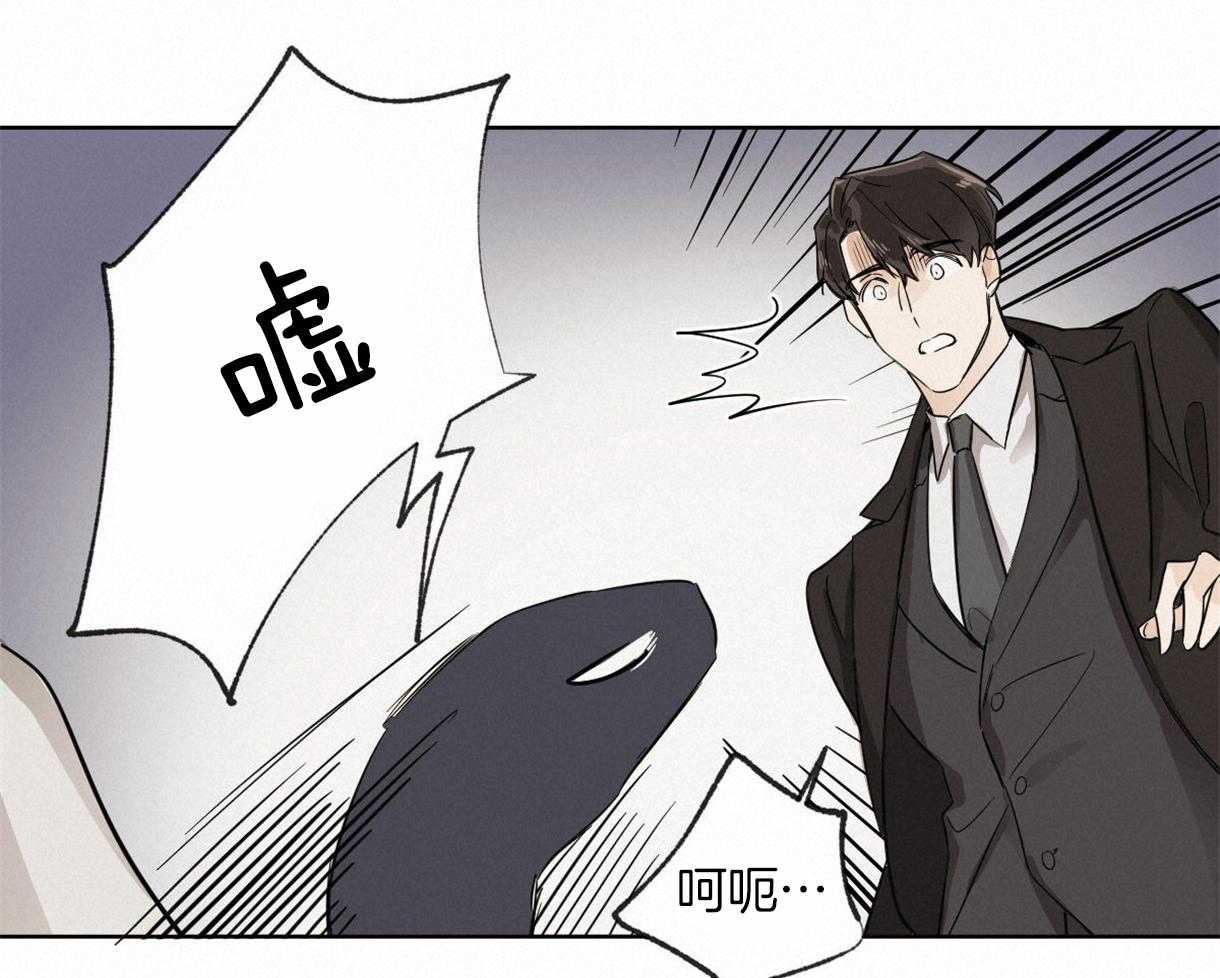 《变温禽兽》漫画最新章节第4话 4_一靠近就炸毛免费下拉式在线观看章节第【33】张图片