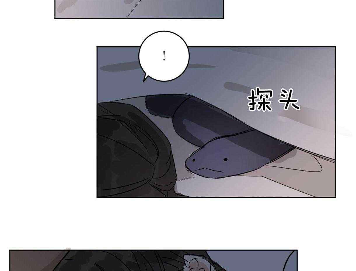 《变温禽兽》漫画最新章节第17话 依赖免费下拉式在线观看章节第【12】张图片