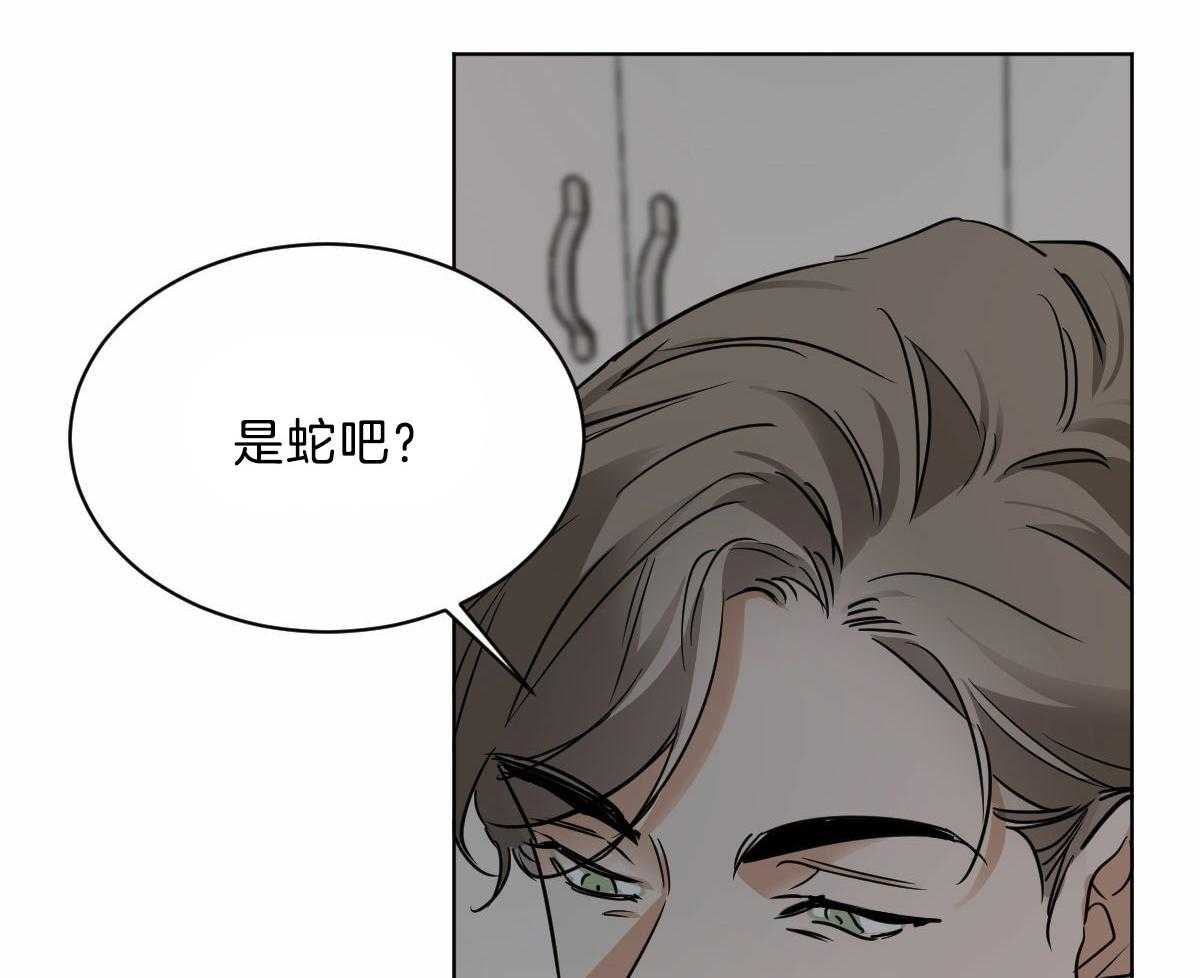 《变温禽兽》漫画最新章节第43话 他是蛇吧免费下拉式在线观看章节第【54】张图片