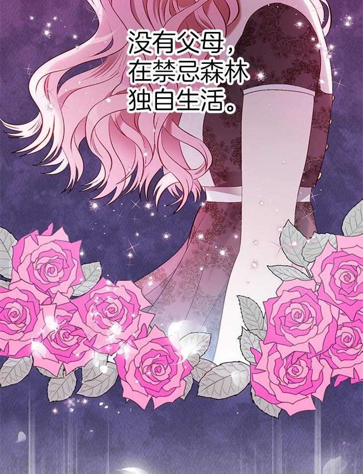 《公爵的替身侍女》漫画最新章节第15话 我们的缘分免费下拉式在线观看章节第【30】张图片