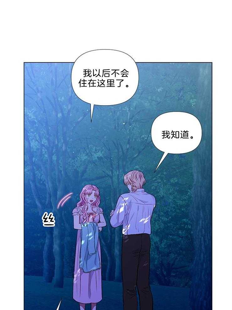 《公爵的替身侍女》漫画最新章节第50话 为什么离开免费下拉式在线观看章节第【20】张图片