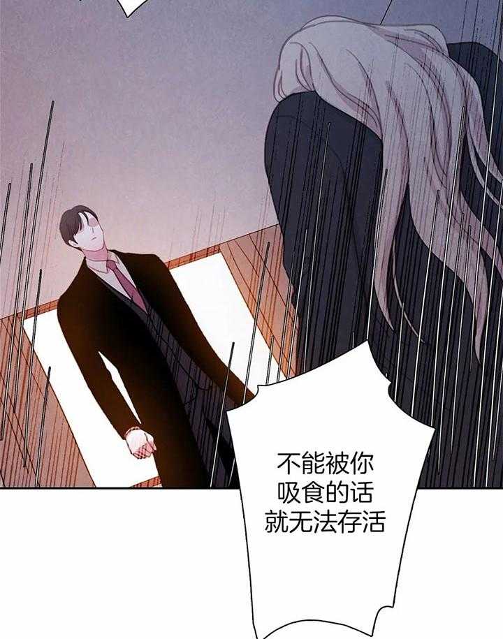 《与吸血鬼共餐》漫画最新章节第36话 别装糊涂免费下拉式在线观看章节第【17】张图片