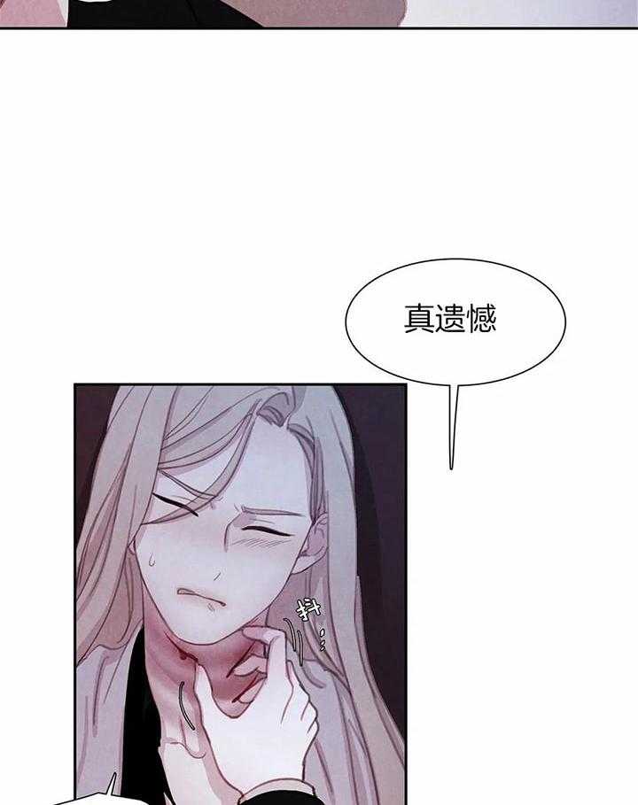 《与吸血鬼共餐》漫画最新章节第37话 你这疯子免费下拉式在线观看章节第【17】张图片