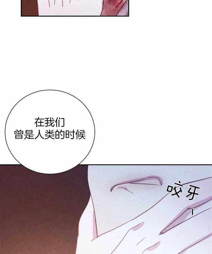 《与吸血鬼共餐》漫画最新章节第38话 印记免费下拉式在线观看章节第【37】张图片