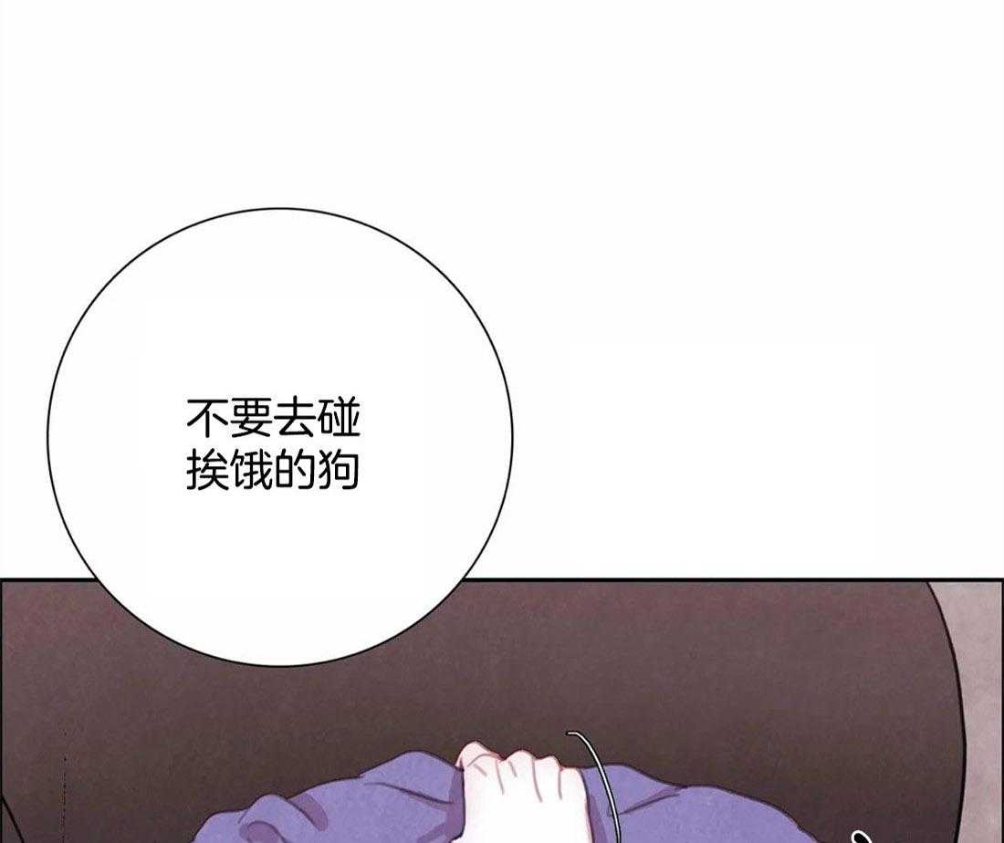 《与吸血鬼共餐》漫画最新章节第40话 不要碰挨饿的狗免费下拉式在线观看章节第【51】张图片