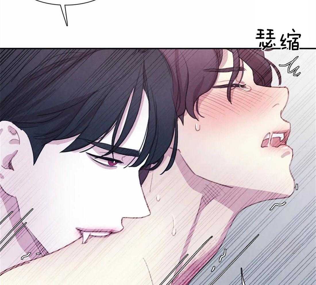 《与吸血鬼共餐》漫画最新章节第40话 不要碰挨饿的狗免费下拉式在线观看章节第【13】张图片