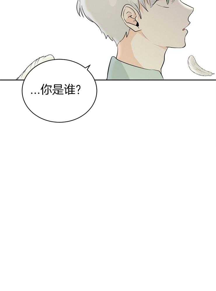 《天使他过于敬业》漫画最新章节第1话 1_白发异瞳免费下拉式在线观看章节第【1】张图片