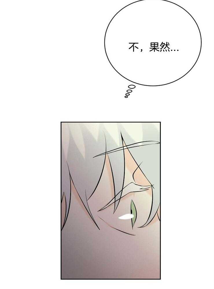 《天使他过于敬业》漫画最新章节第36话 美丽的世界免费下拉式在线观看章节第【21】张图片