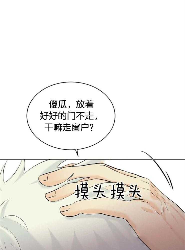 《天使他过于敬业》漫画最新章节第37话 遗忘免费下拉式在线观看章节第【24】张图片