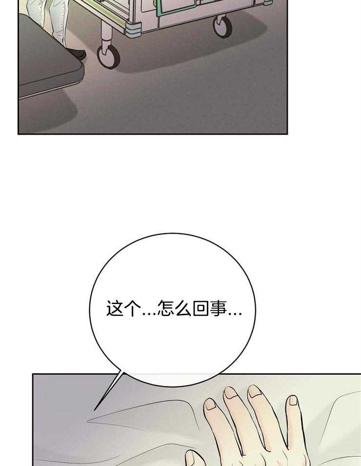 《天使他过于敬业》漫画最新章节第43话 相似的人免费下拉式在线观看章节第【24】张图片