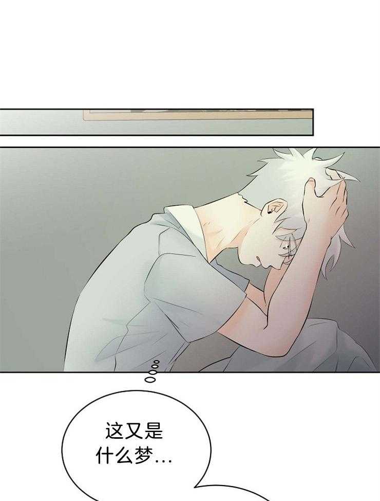 《天使他过于敬业》漫画最新章节第58话 又是梦境免费下拉式在线观看章节第【11】张图片