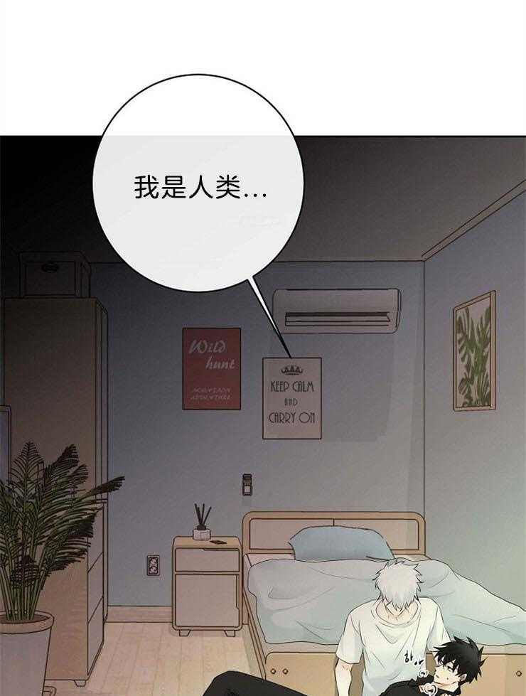 《天使他过于敬业》漫画最新章节第67话 能看到天使的人免费下拉式在线观看章节第【36】张图片