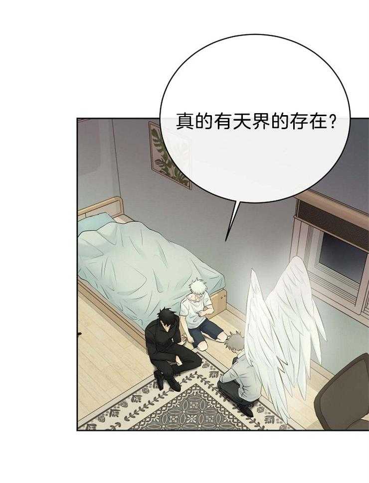 《天使他过于敬业》漫画最新章节第71话 你不是人类免费下拉式在线观看章节第【28】张图片