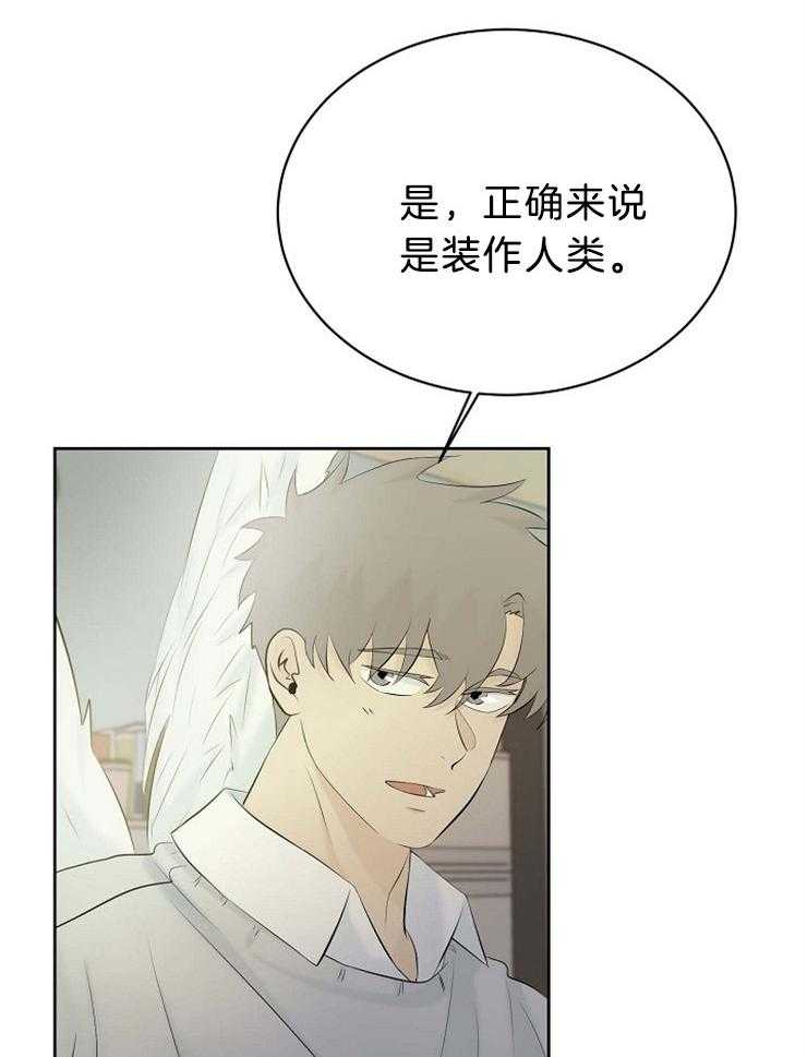 《天使他过于敬业》漫画最新章节第71话 你不是人类免费下拉式在线观看章节第【31】张图片