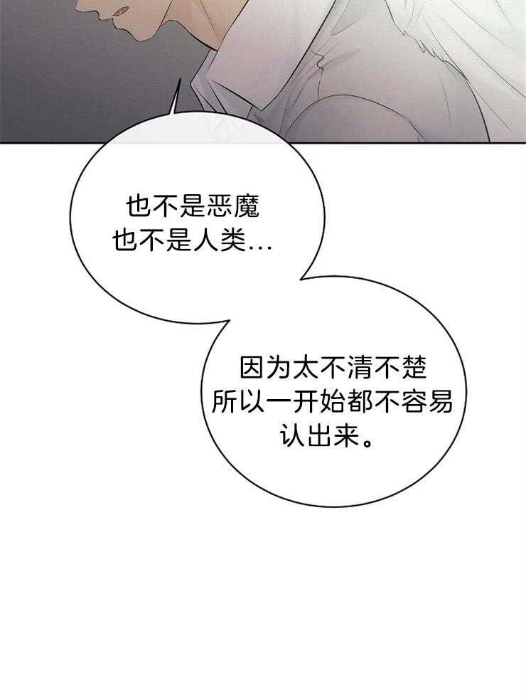 《天使他过于敬业》漫画最新章节第72话 混血免费下拉式在线观看章节第【17】张图片