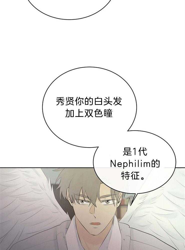 《天使他过于敬业》漫画最新章节第72话 混血免费下拉式在线观看章节第【31】张图片