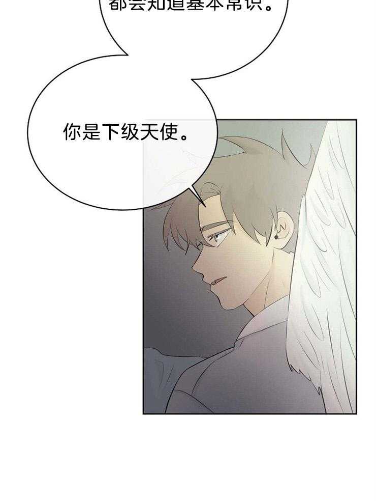 《天使他过于敬业》漫画最新章节第72话 混血免费下拉式在线观看章节第【19】张图片