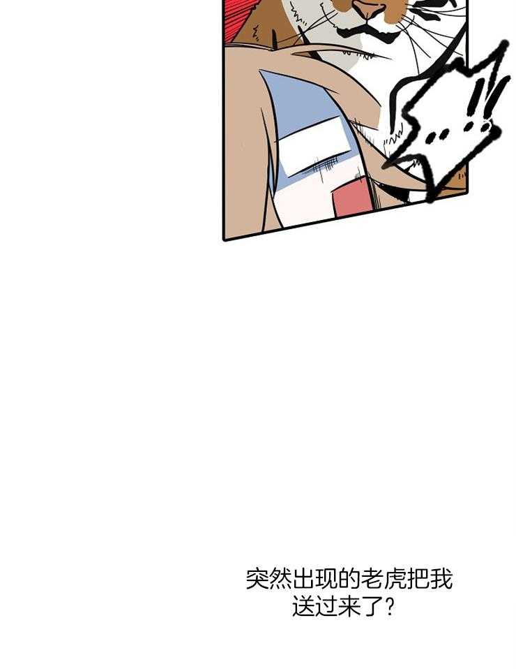 《仙女汤盗窃案》漫画最新章节第17话 通灵性的老虎免费下拉式在线观看章节第【27】张图片