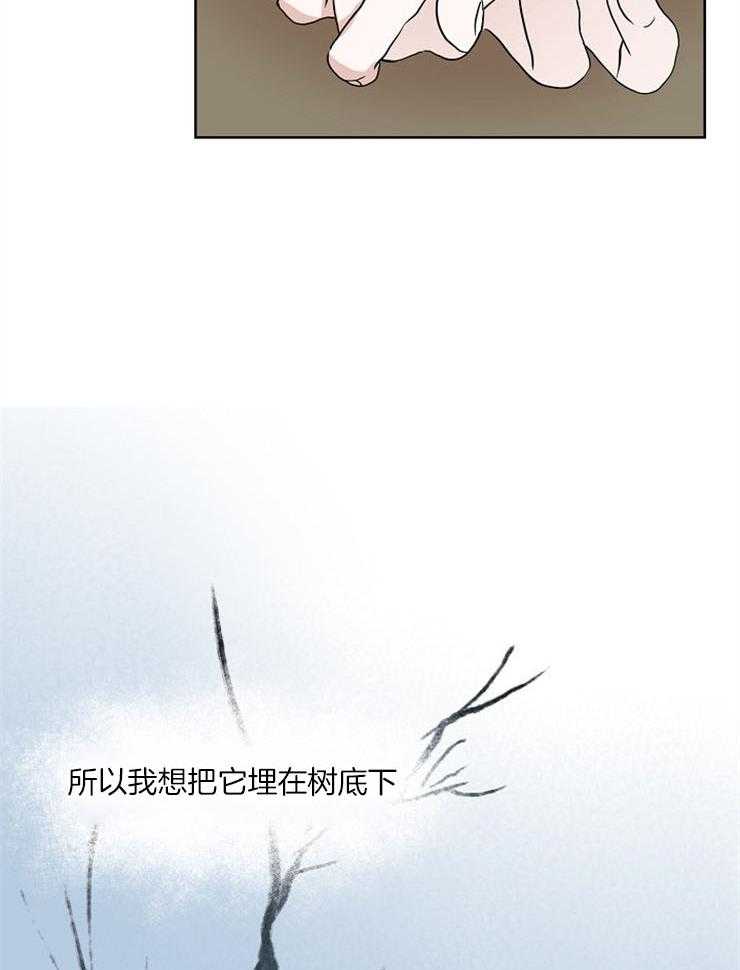 《仙女汤盗窃案》漫画最新章节第43话 安慰免费下拉式在线观看章节第【16】张图片