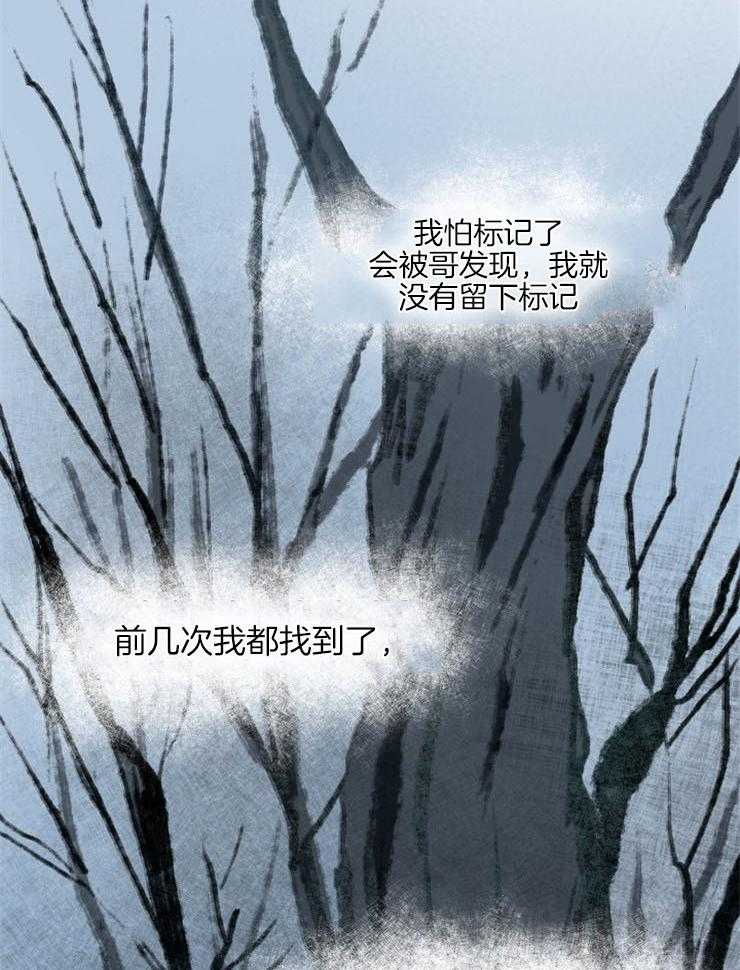 《仙女汤盗窃案》漫画最新章节第43话 安慰免费下拉式在线观看章节第【15】张图片