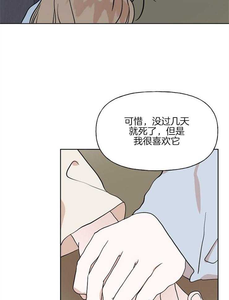 《仙女汤盗窃案》漫画最新章节第43话 安慰免费下拉式在线观看章节第【17】张图片