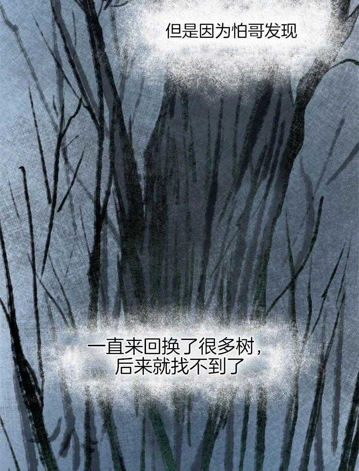 《仙女汤盗窃案》漫画最新章节第43话 安慰免费下拉式在线观看章节第【14】张图片