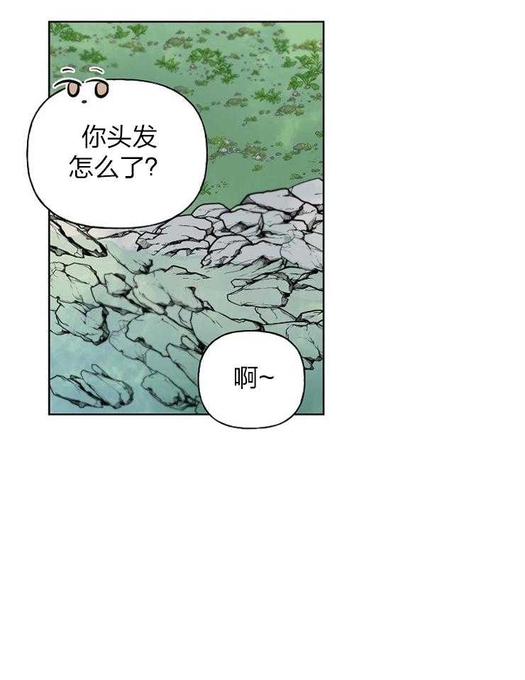 《仙女汤盗窃案》漫画最新章节第45话 出逃计划免费下拉式在线观看章节第【40】张图片